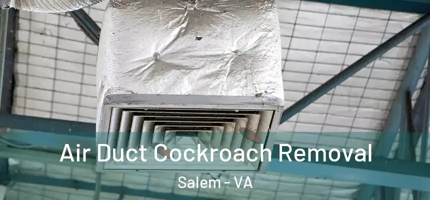  Air Duct Cockroach Removal Salem - VA