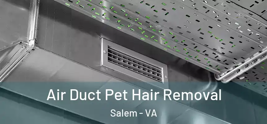  Air Duct Pet Hair Removal Salem - VA