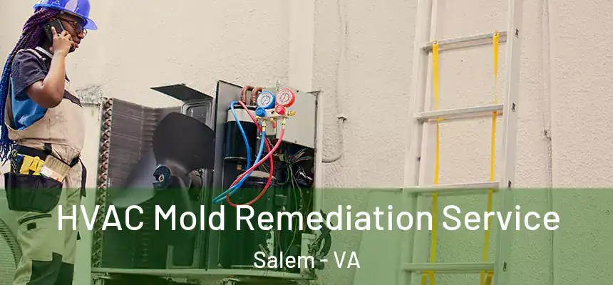  HVAC Mold Remediation Service Salem - VA