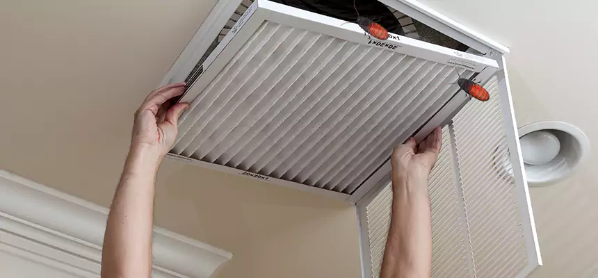 Our Insect Removal from Air Ducts Services in Salem, VA