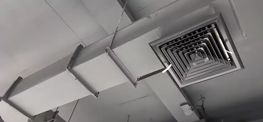 Our Pest Removal From Ducts Services in Salem, VA