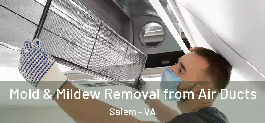  Mold & Mildew Removal from Air Ducts Salem - VA