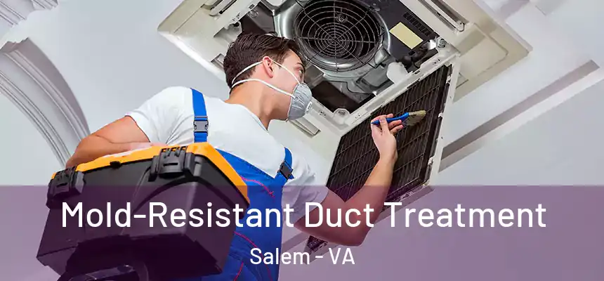  Mold-Resistant Duct Treatment Salem - VA
