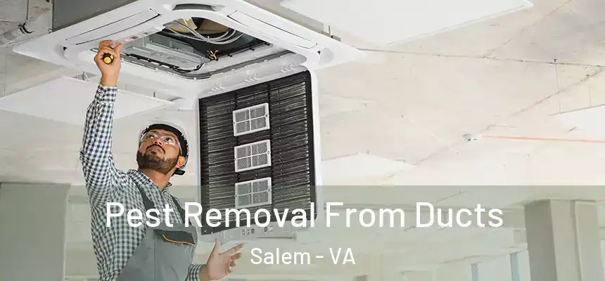  Pest Removal From Ducts Salem - VA