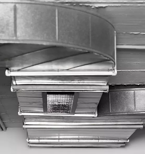 Professional Air Duct Pest Removal in Salem, VA