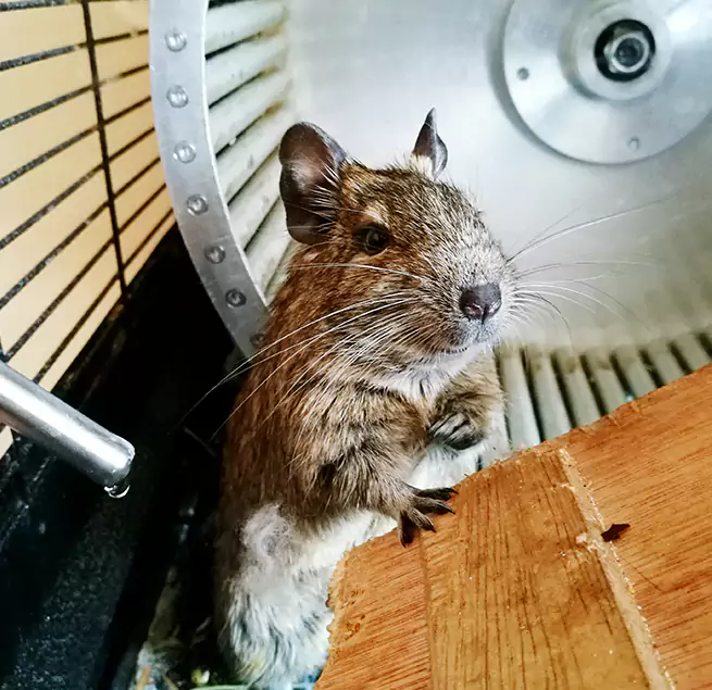 Why Homeowners & Businesses Trust Us Salem, VA