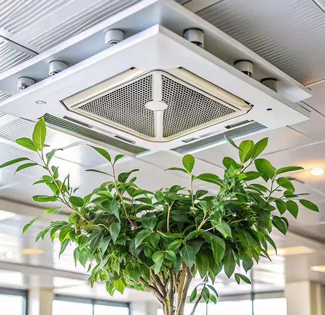 Why Homeowners & Businesses Trust Us in Salem, VA